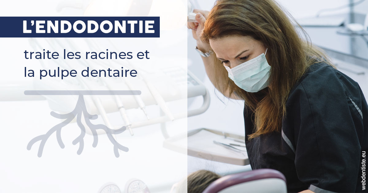 https://www.dr-weiss-sarfati.fr/L'endodontie 1