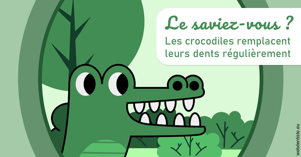 https://www.dr-weiss-sarfati.fr/Crocodiles 2