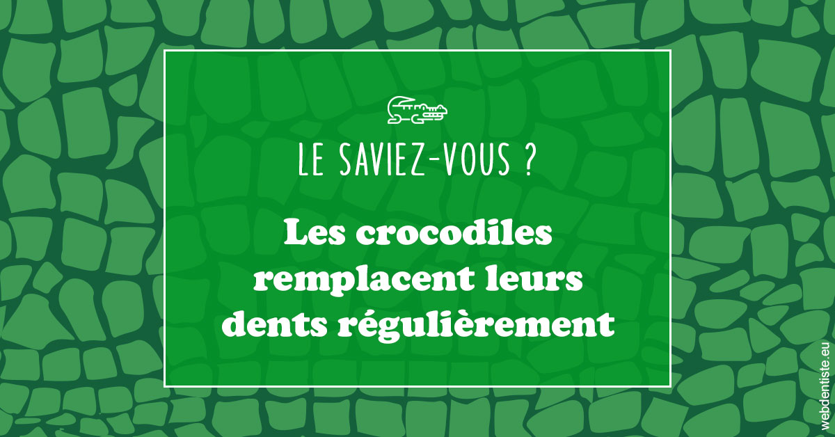 https://www.dr-weiss-sarfati.fr/Crocodiles 1