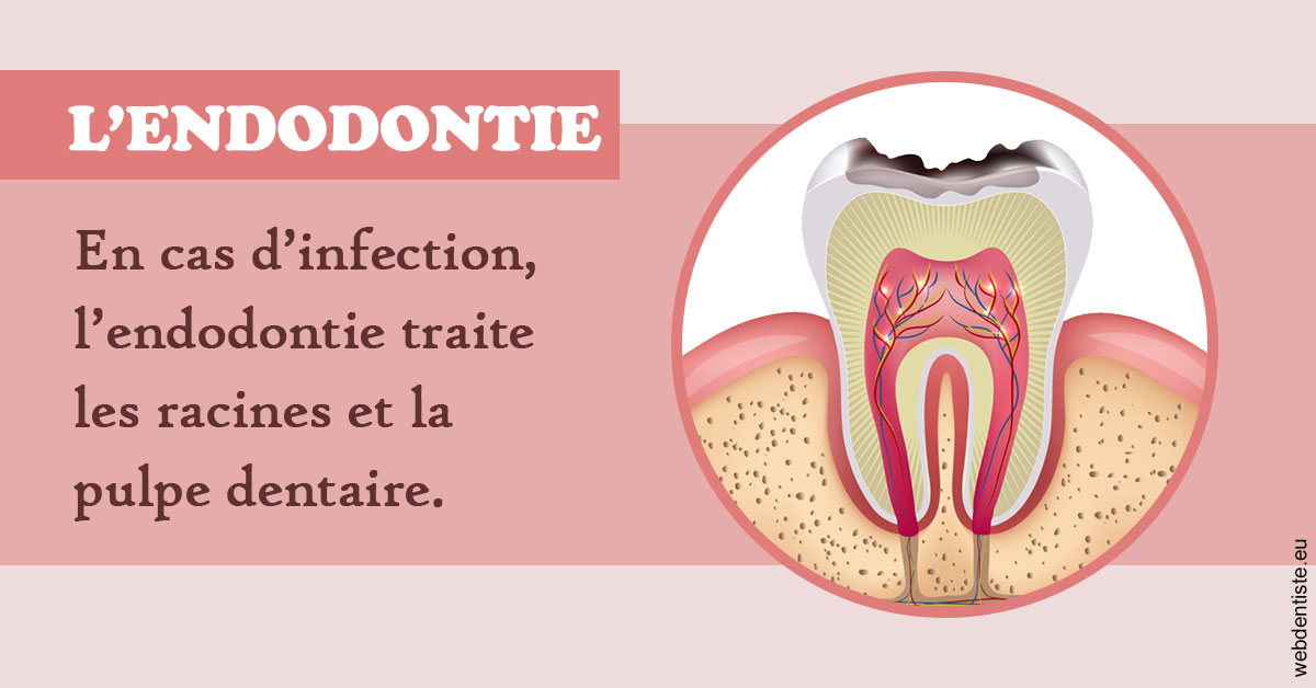 https://www.dr-weiss-sarfati.fr/L'endodontie 2
